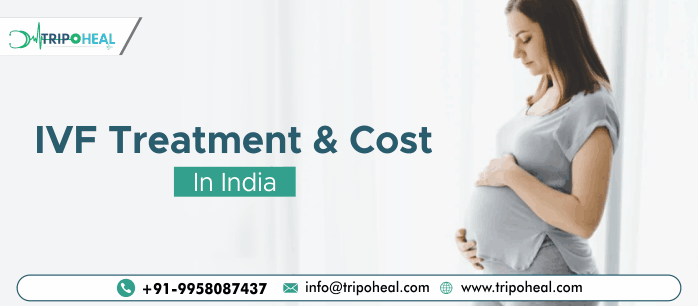 IVF Treatment &amp; Cost in India