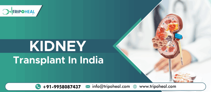 Kidney Transplant in India