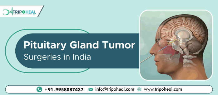 Pituitary Gland Tumor Surgery in India